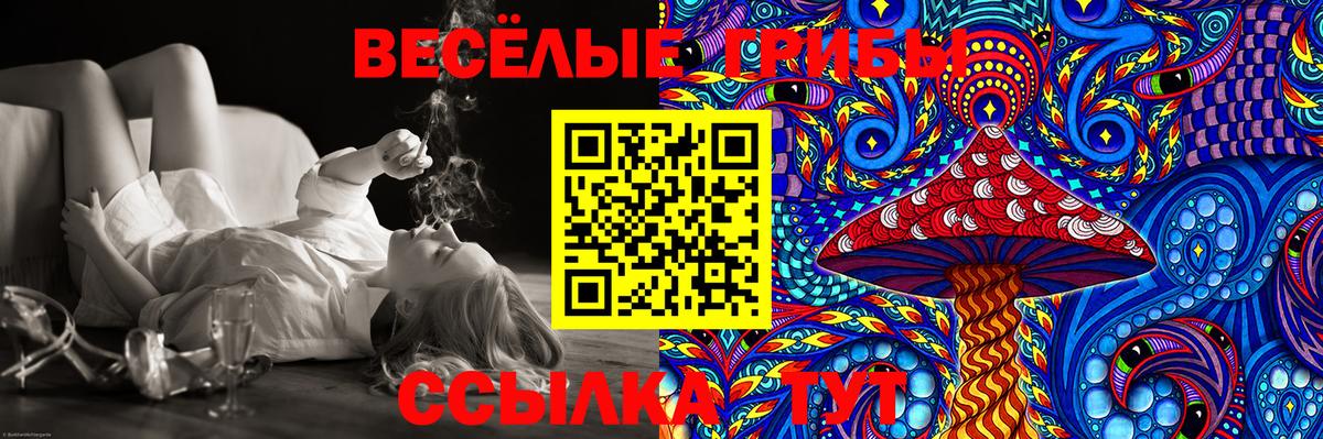 где купить наркоту  Псилоцибиновые грибы MAGIC MUSHROOMS  Вход с VPN  Галлюциногенные грибы прущие грибы  Новоалтайск 