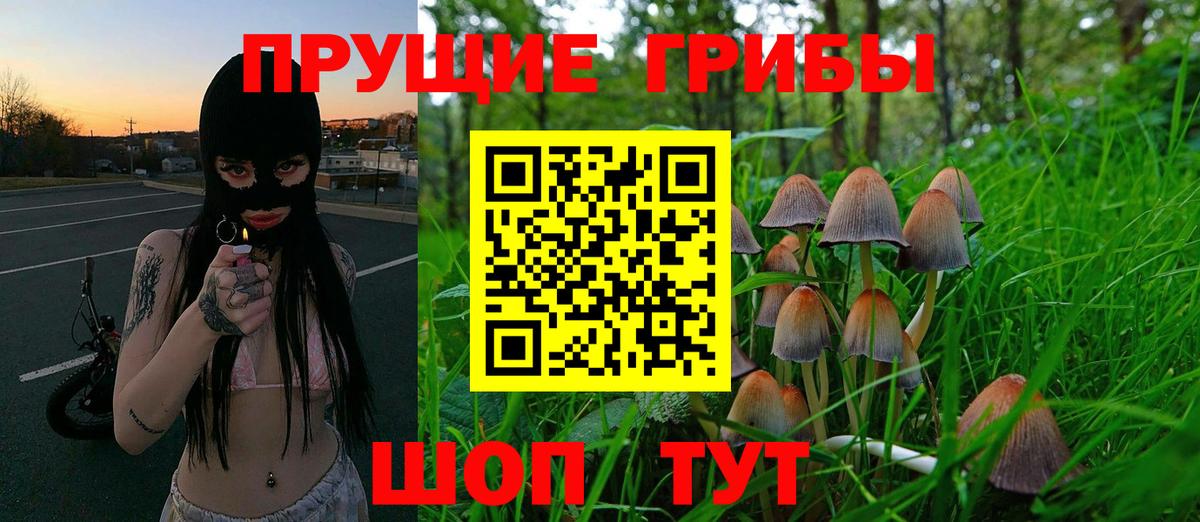 Псилоцибиновые грибы GOLDEN TEACHER Новоалтайск